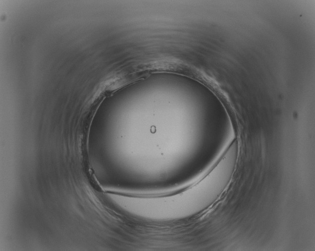 X0000062840154200601201647