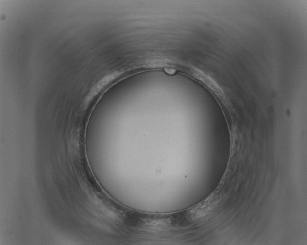 X0000062840155200601201647