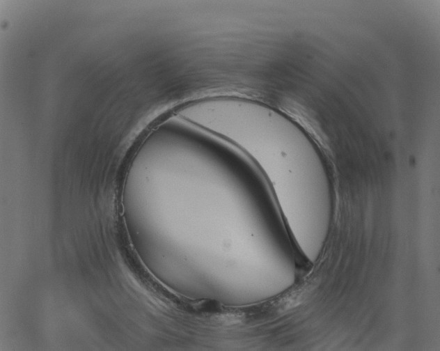 X0000062840156200601201647