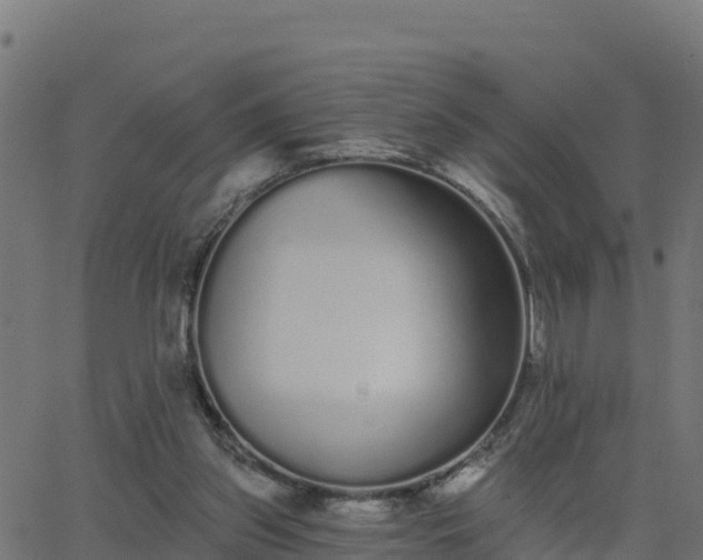 X0000062840157200601201647