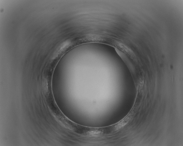 X0000062840158200601201647