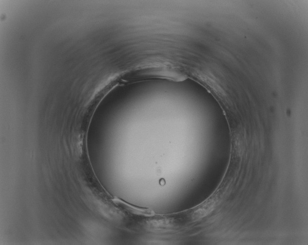 X0000062840160200601201647