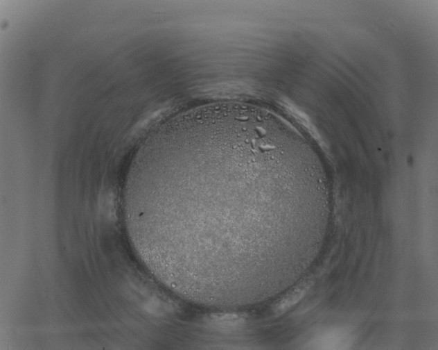 X0000062840161200601201647