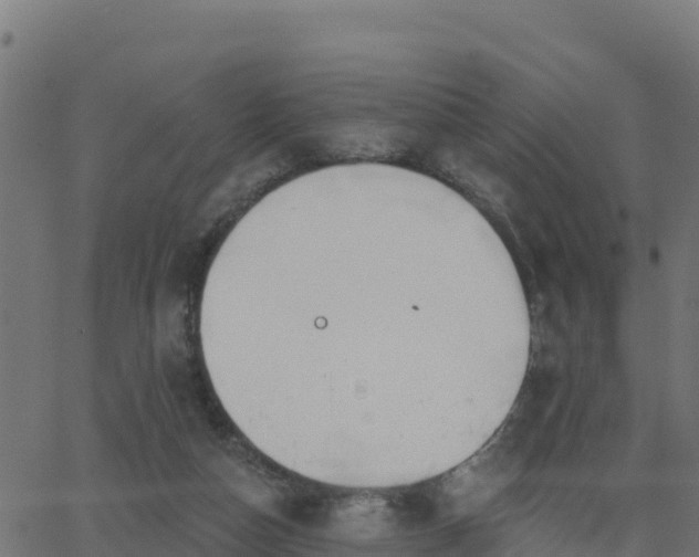 X0000062840162200601201647