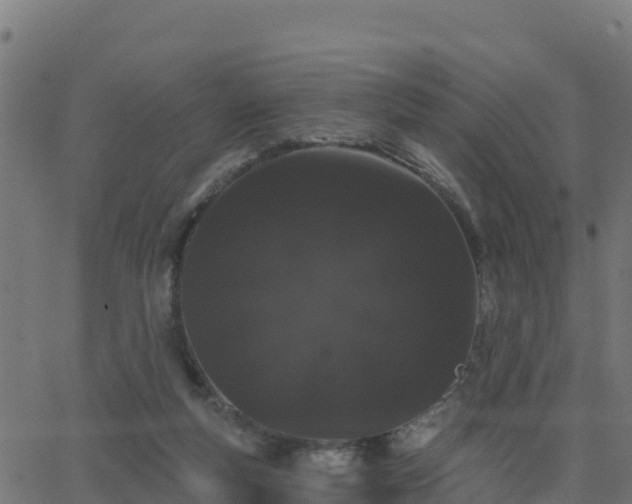 X0000062840163200601201647