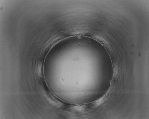 X0000062840166200601201647