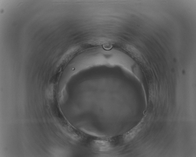 X0000062840167200601201647