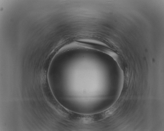 X0000062840168200601201647