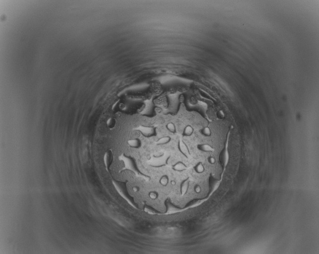 X0000062840169200601201647