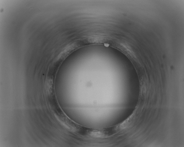 X0000062840171200601201647