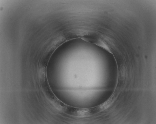 X0000062840172200601201647