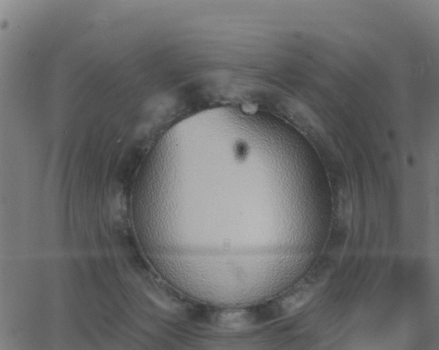 X0000062840173200601201647