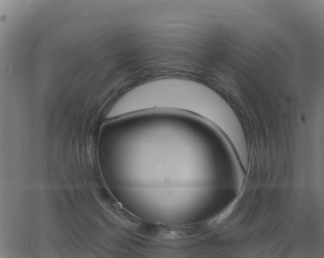 X0000062840174200601201647