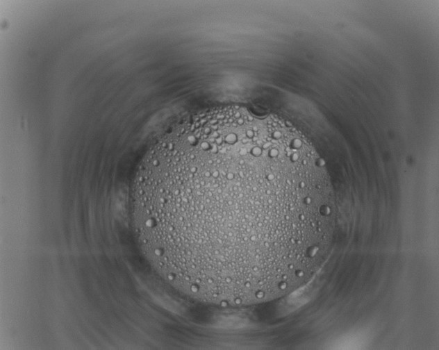 X0000062840175200601201647