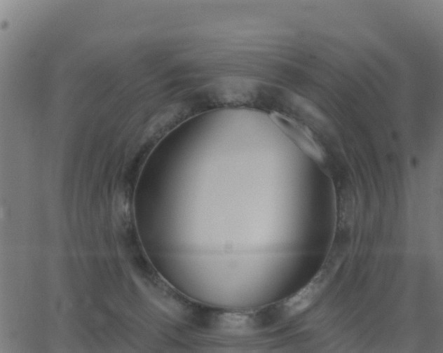 X0000062840176200601201647