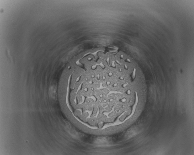 X0000062840177200601201647