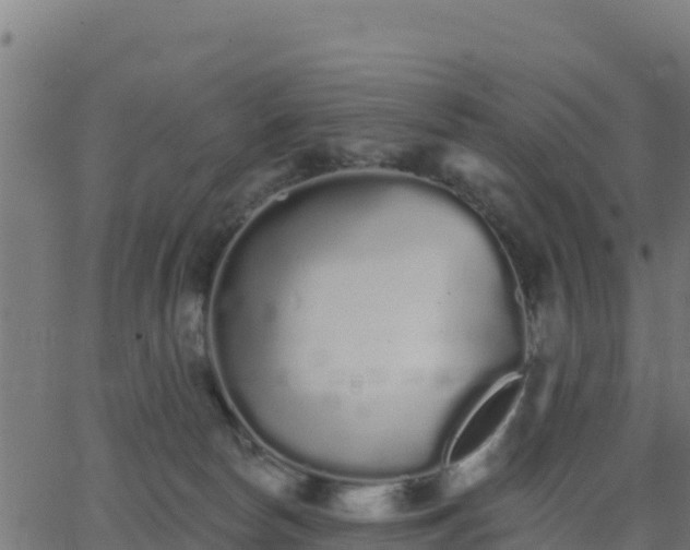 X0000062840178200601201647