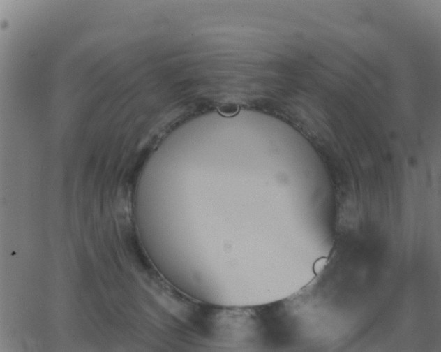 X0000062840179200601201647