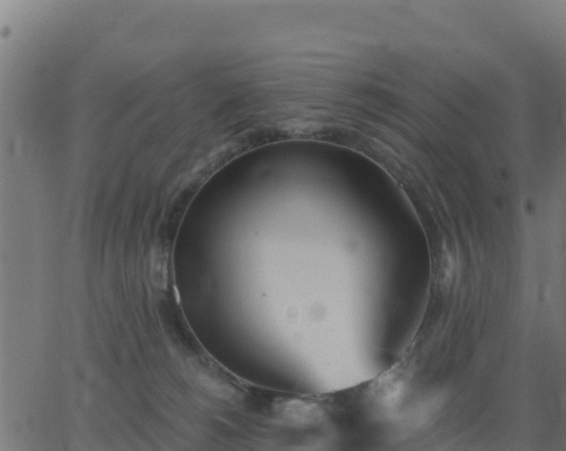 X0000062840180200601201647