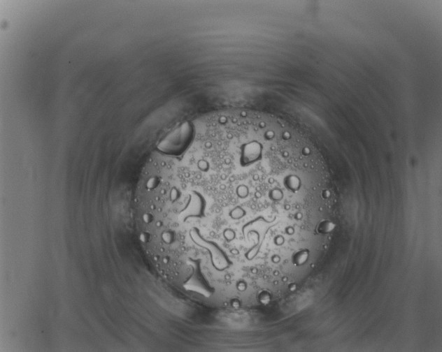 X0000062840181200601201647