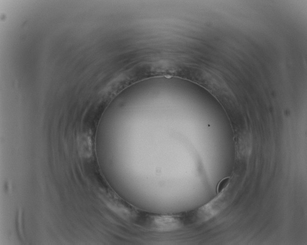 X0000062840183200601201647