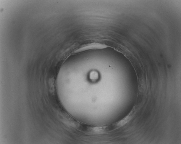 X0000062840184200601201647