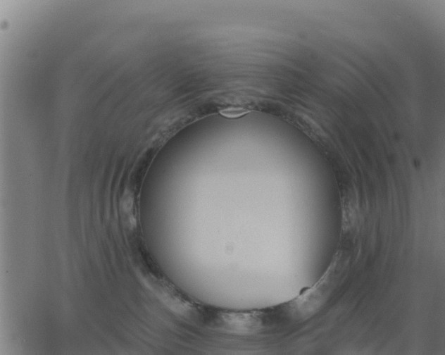 X0000062840187200601201647