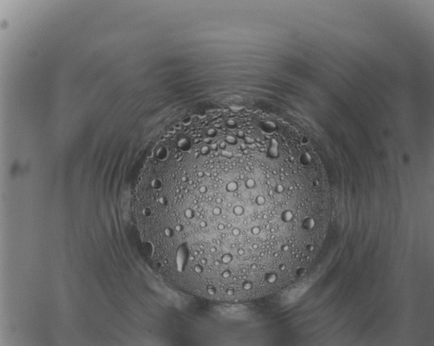 X0000062840189200601201647