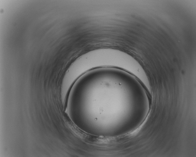 X0000062840190200601201647