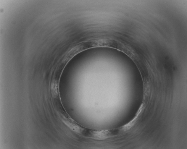 X0000062840191200601201647