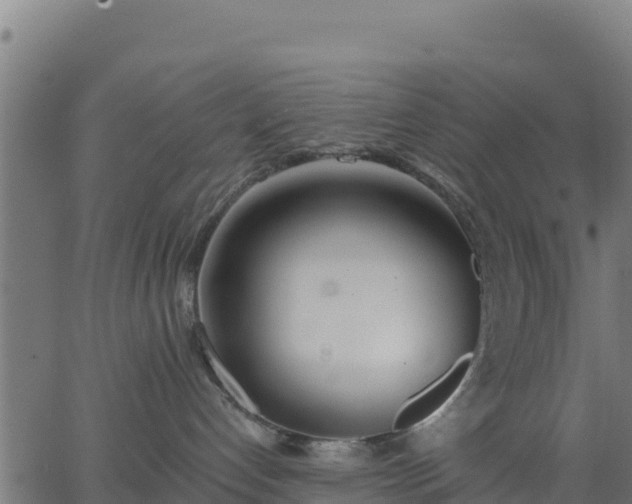 X0000062840192200601201647