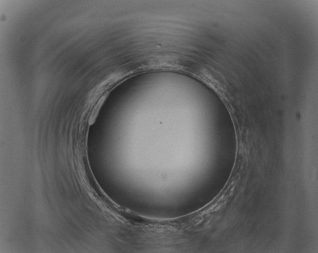 X0000062840193200601201646