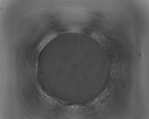 X0000062840194200601201646