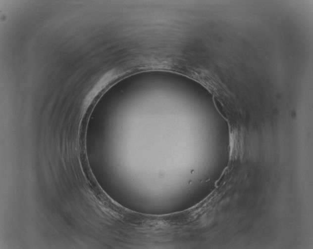 X0000062840195200601201646