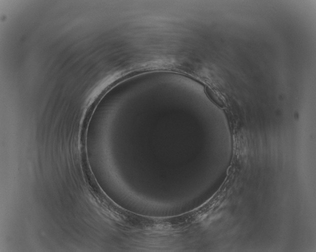 X0000062840196200601201646