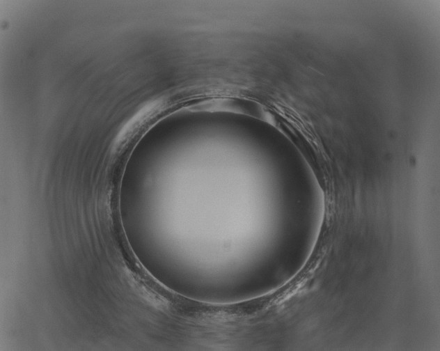 X0000062840197200601201646