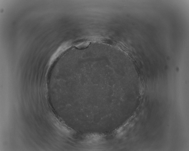 X0000062840198200601201646