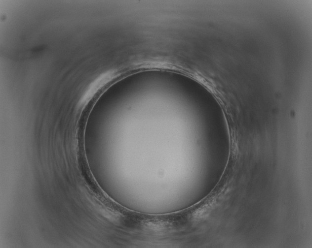 X0000062840199200601201646