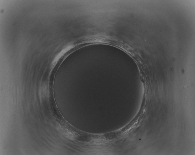 X0000062840200200601201646