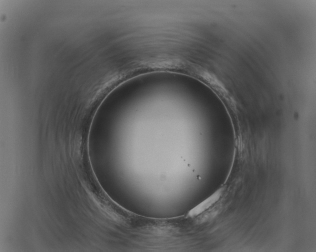 X0000062840201200601201646