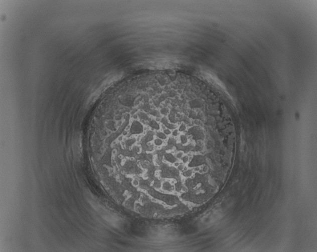 X0000062840202200601201646