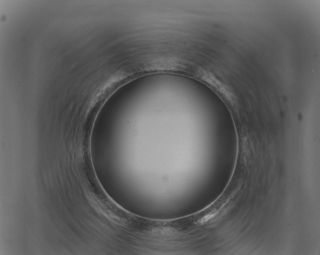 X0000062840203200601201646