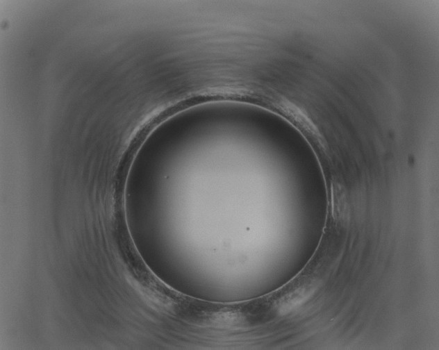 X0000062840204200601201646