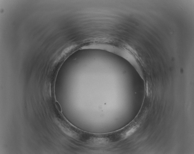 X0000062840205200601201646