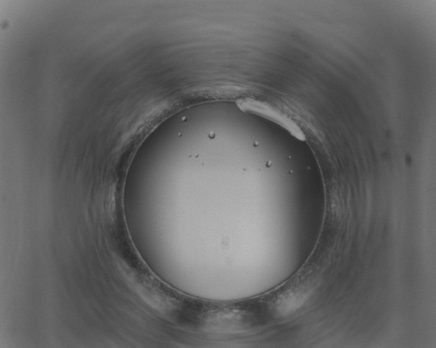 X0000062840206200601201646