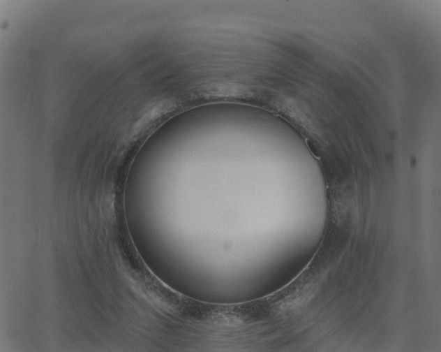 X0000062840207200601201646