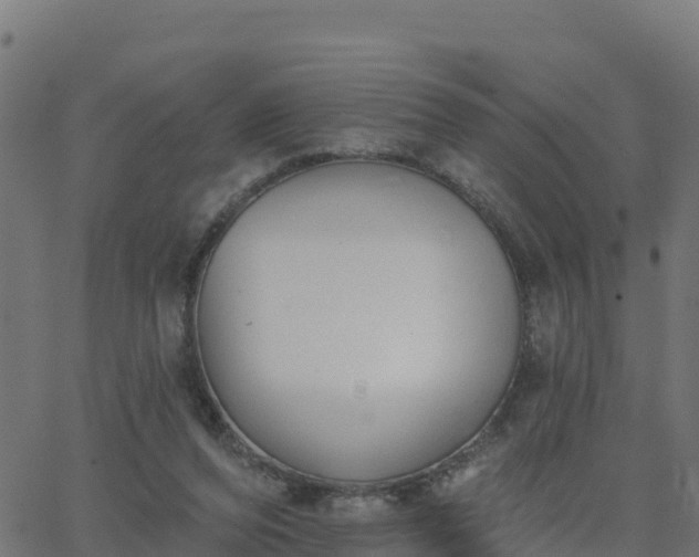 X0000062840208200601201646