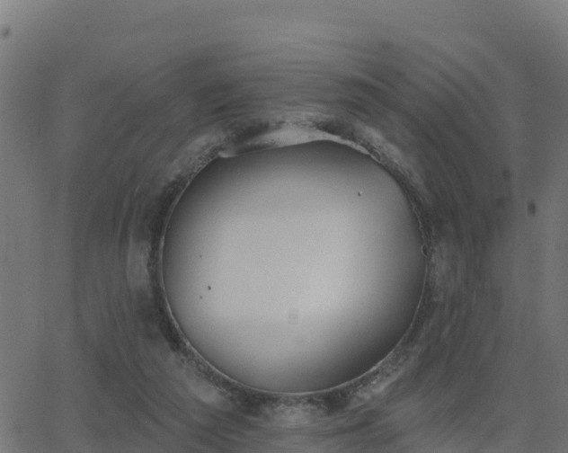 X0000062840209200601201646