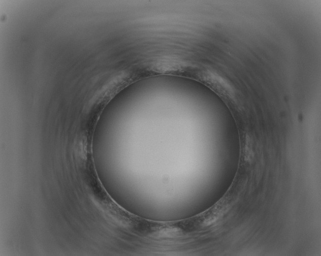 X0000062840210200601201646