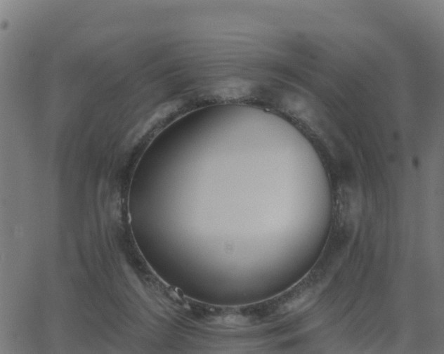 X0000062840212200601201646